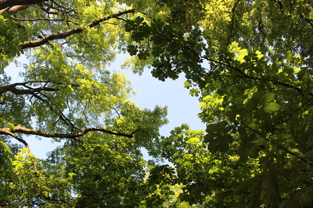 Waldgottesdienst 2018 (4) big thumb