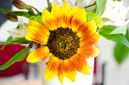 Erntedank2018 (20) big thumb