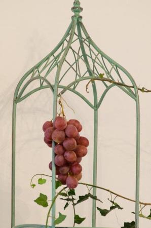 Erntedank2020 (12) big thumb